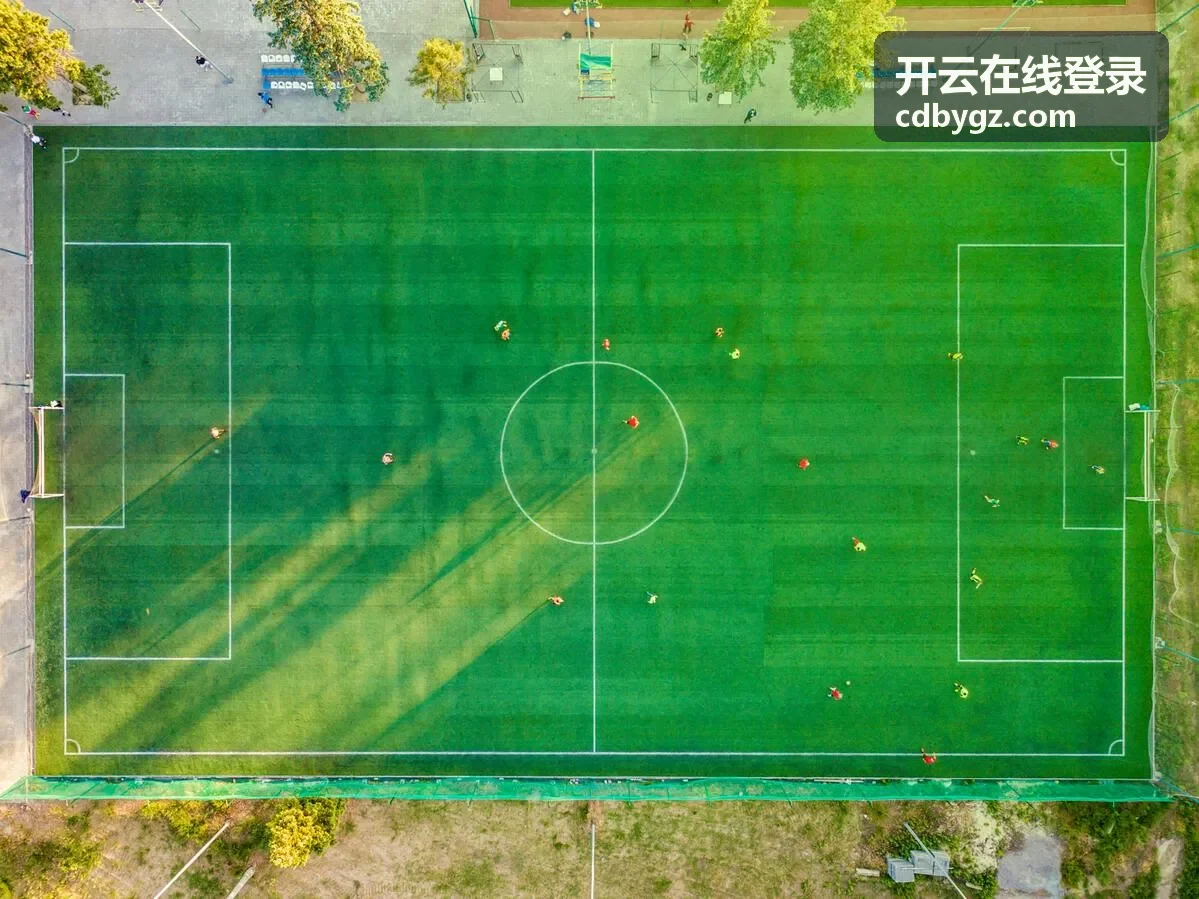 开云在线登录安全设置界面示意