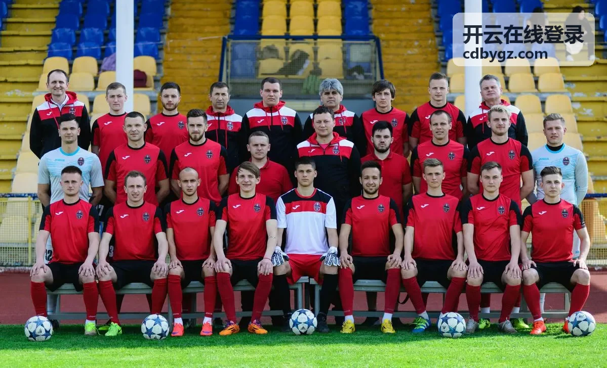 开云在线登录登录记录查询示意